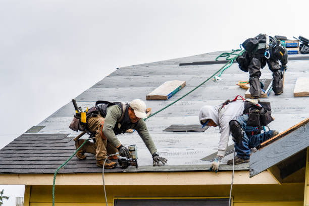 Professional Roofing technician working in Roanoke, TX